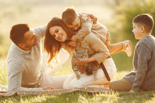 Planos de Saúde MEI